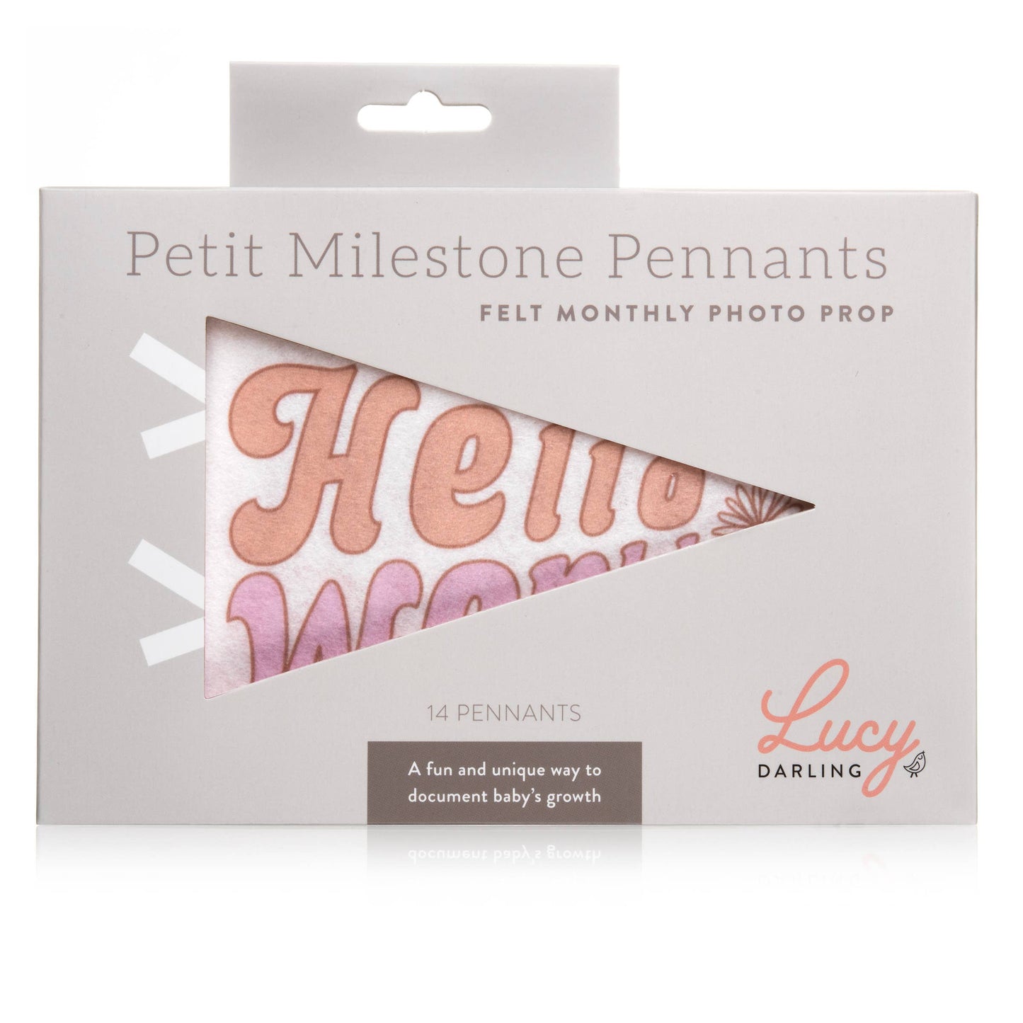 Lucy Darling - Flower Child Petit Milestone Pennant